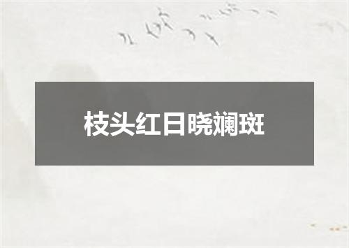 枝头红日晓斓斑