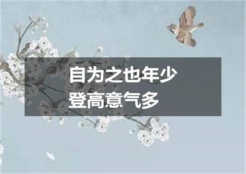 自为之也年少登高意气多