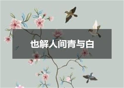 也解人间青与白