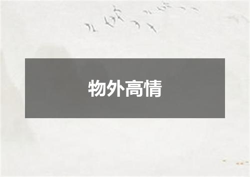 物外高情