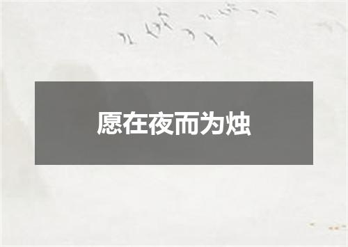 愿在夜而为烛