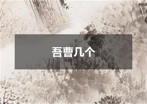 吾曹几个