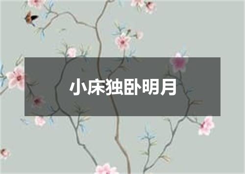 小床独卧明月