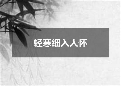 轻寒细入人怀