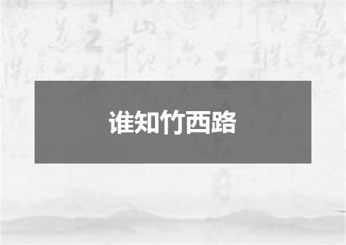 谁知竹西路
