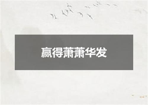 赢得萧萧华发
