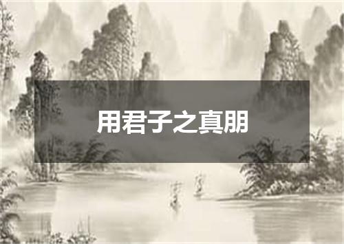 用君子之真朋