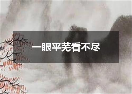 一眼平芜看不尽