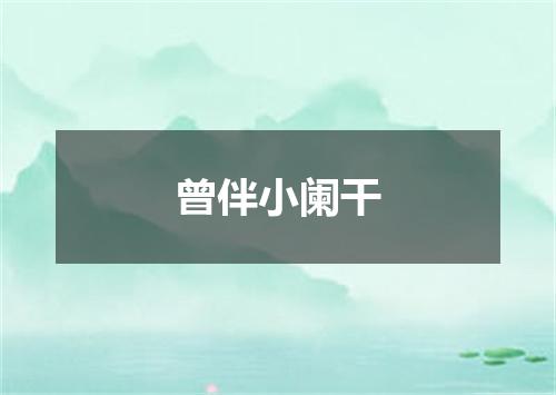 曾伴小阑干