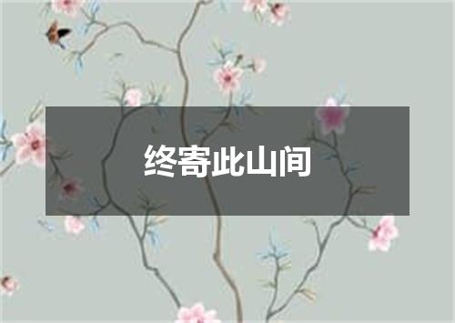 终寄此山间