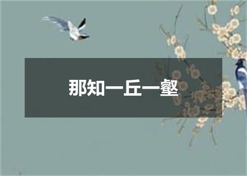 那知一丘一壑
