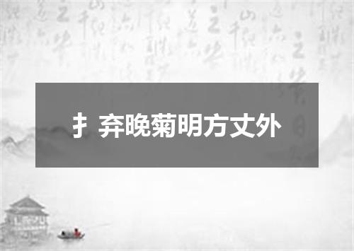 扌弃晚菊明方丈外