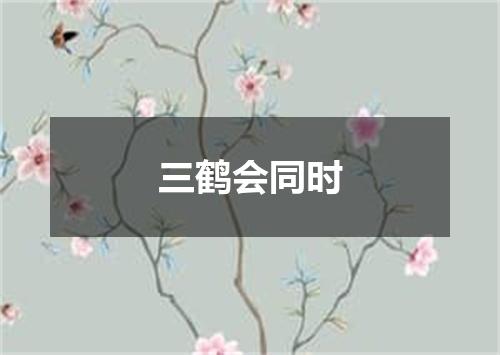 三鹤会同时