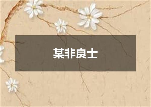 某非良士
