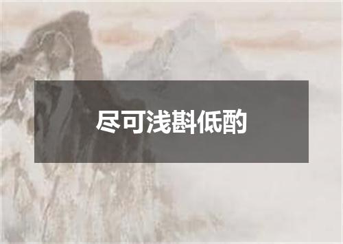 尽可浅斟低酌