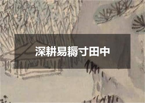 深耕易耨寸田中