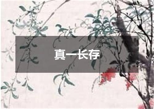 真一长存