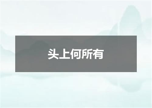 头上何所有