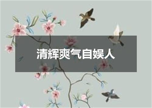 清辉爽气自娱人