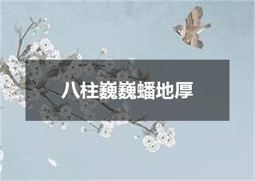 八柱巍巍蟠地厚
