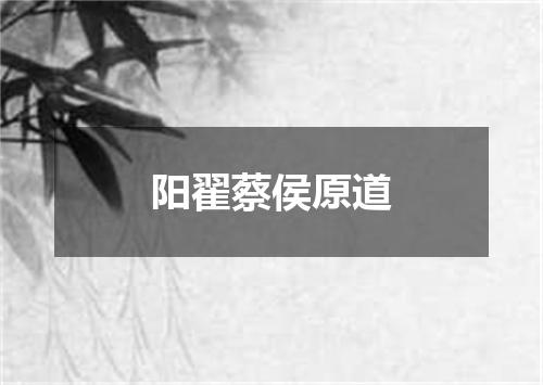 阳翟蔡侯原道