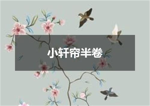 小轩帘半卷