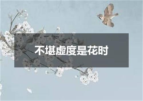 不堪虚度是花时