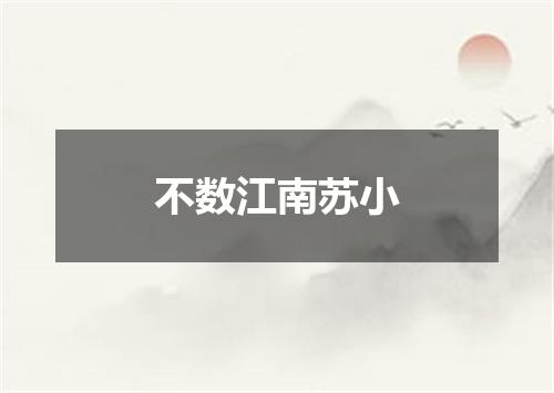不数江南苏小