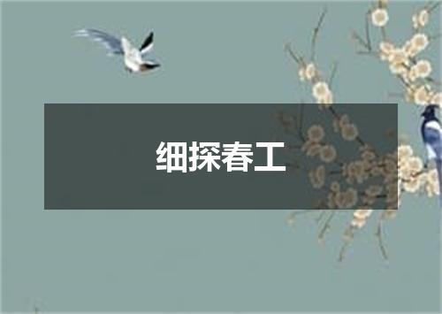 细探春工