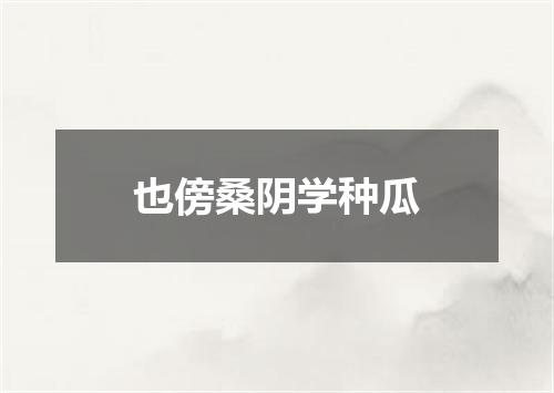 也傍桑阴学种瓜