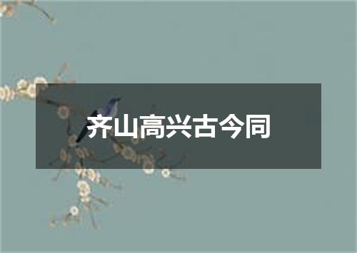 齐山高兴古今同
