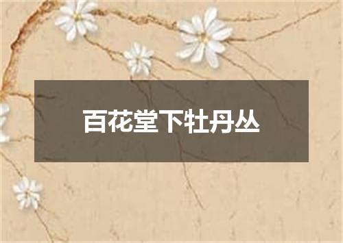 百花堂下牡丹丛