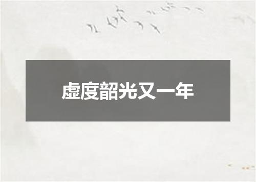 虚度韶光又一年