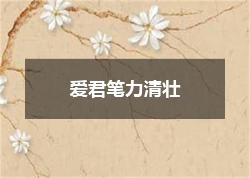 爱君笔力清壮