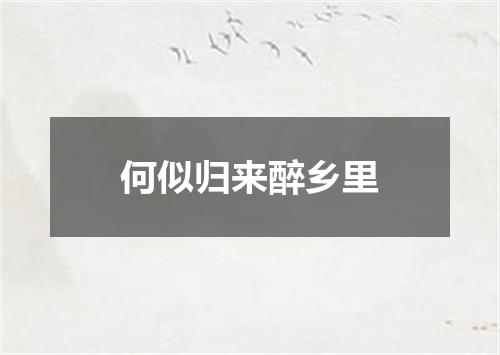 何似归来醉乡里