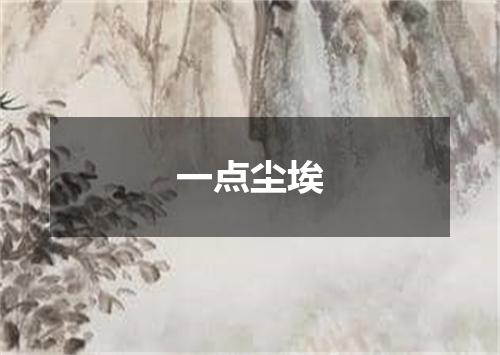 一点尘埃