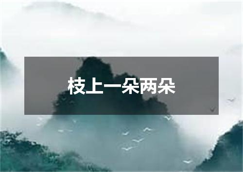 枝上一朵两朵