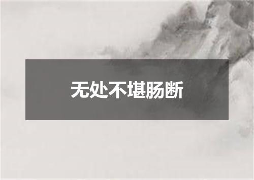 无处不堪肠断