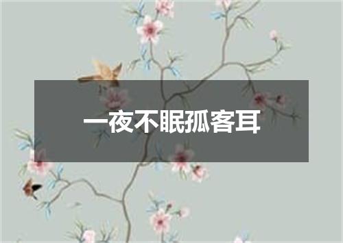 一夜不眠孤客耳