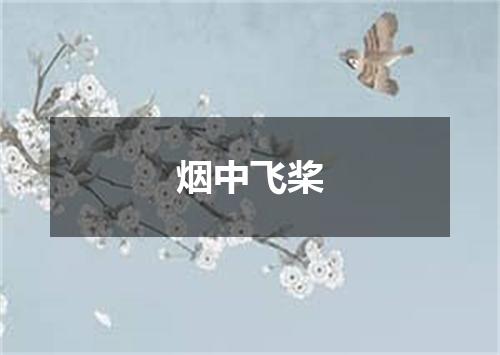 烟中飞桨