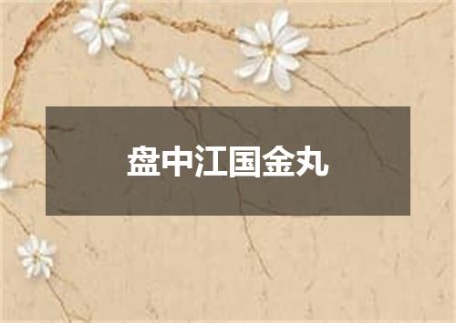 盘中江国金丸