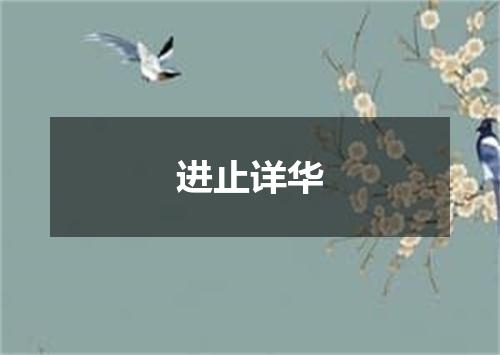 进止详华