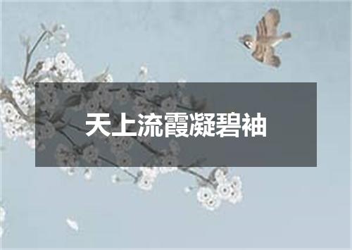 天上流霞凝碧袖
