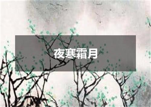 夜寒霜月