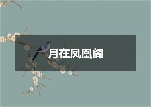 月在凤凰阁
