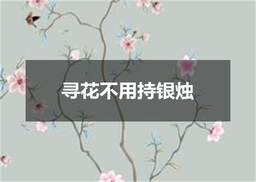 寻花不用持银烛