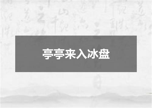 亭亭来入冰盘