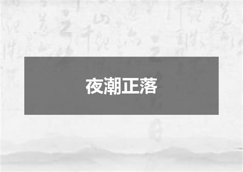 夜潮正落