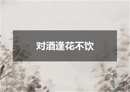对酒逢花不饮