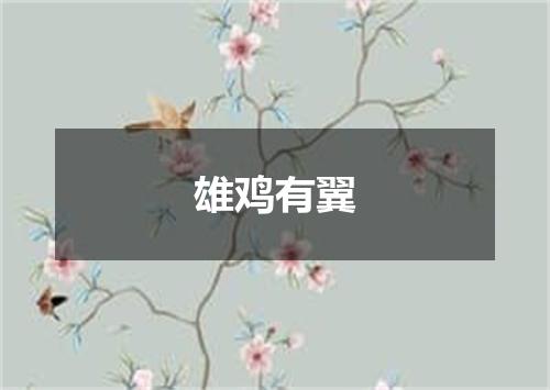 雄鸡有翼